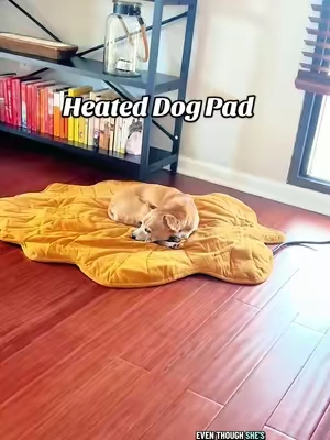 🐕 My dog lays on this heated dog pad all day long! #dogbed #heateddogbed #dogaccessories #newyearnewme #tiktokshopcreatorpicks  