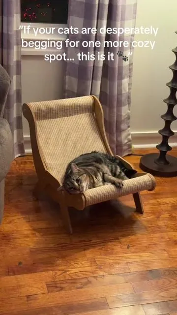Georgia Peach doesn’t waste time giving her opinions—and this extra-large cat lounge got an instant yes. 🍑 It’s cozy enough for naps, sturdy enough for scratching, and big enough for cats who like to stretch out and fully relax. If your kitty needs a new favorite spot (and a place to scratch that isn’t your furniture), this one is worth it. Click the link, friends.   ##GeorgiaPeach #CatLoungeLife #HappyCatHappyHome #ScratchingPostLife #CatMomApproved
