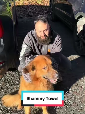 Shammy towel from muddy mat is a game changer. #muddymat #dogproducts #dogowners #tiktokshopholidayhaul #tiktokshopcreatorpicks 