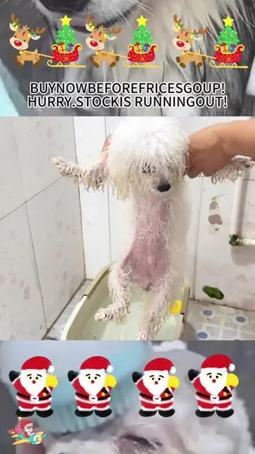 Brushing time = Spa time! 🐶✨ Watch him melt into a puddle of bliss. Finally, a brush they actually LOVE. #PetComfort #Satisfying #DogGrooming #HappyPet #ASMR