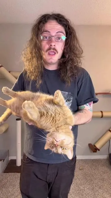 Do your cat and yourself a favor and get them this toy! #catsoftiktok #cat #catlovers #viralcats #funnycat #orangecatbehavior #orangecat 