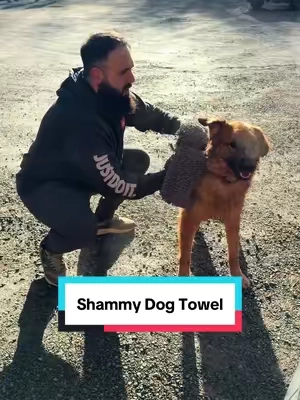 Dry and clean your dog at the same time.. #shammy #dogtowel #dogproducts #dogowner #tiktokshopcreatorpicks 
