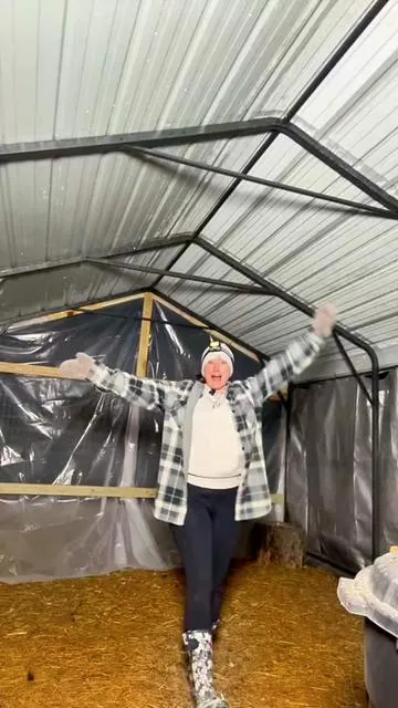 Thicken steel to withstand wild winds and large amount of snow this winter! #carport #chicken #chickens #metalcarport #carportideas 