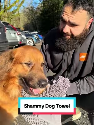 Easy clean up and dry before car rides even after shower🙏 #shammy #dogdryer #dogowners #dogproducts #tiktokshopcreatorpicks 