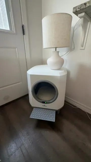 #automaticlitterbox #flashsale #catslovers #fyp 