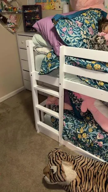 Low bunkbed. #bunkbed #bunkbeds #affordablefurniture #furniture #kidsbed 
