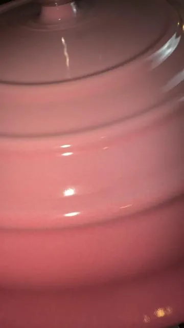 I can believe I finally found a pink one!!! 😍😍😍😍🎀 #spotlightfinds #tiktokshopcreatorpicks #tiktokshopjumpstartsale #dutchoven #sourdough 