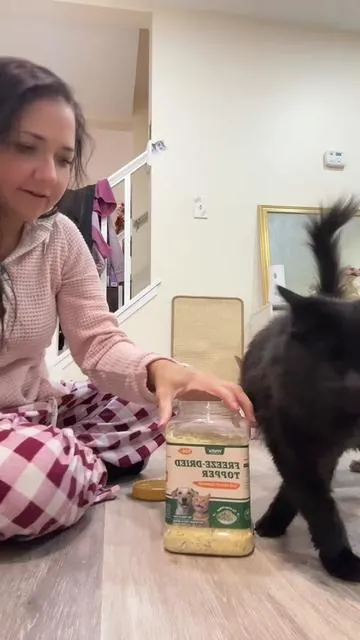 Freeze-dried topper: Coraline & Mouse approved! #cat 