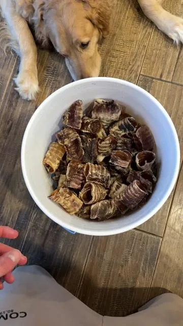 this is an incredible deal on high quality beef trachea for your dog! ❤️ #naturaldogtreats #dogchews #dogdentalhygiene #tiktokshopcreatorpicks #dogparents 