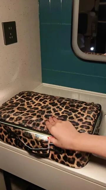 #makeupbag #travelbag #everydaybag #travel #tiktokshop 