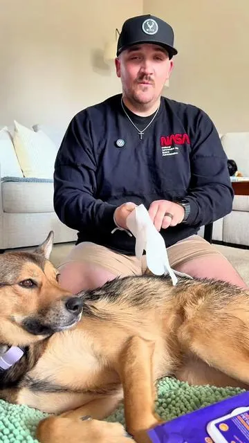 Would you rather bathe your dog in an hour or under a minute? @HICC Pet US #petowners #petcleanupessentials #petcareessentials #petsgifts #tiktokshopcreatorpicks 