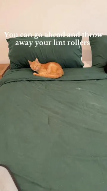 This pet hair removal glove works like magic. Best money spent on the TikTok Shop for pet owners. #pethairremoval #tiktokshopfinds #dogs #cats #pets 