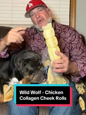 I Trust My Dogs with These Chews!  9-12” Chicken-Coated Collagen Cheek Rolls (3 Pack) 100% Natural Long-lasting for Big Dogs and Aggressive Chewers ##superchewer ##wildwolf ##dogchews ##dogsofttiktok ##tiktokshopjumpstartsale@@Wild Wolf Bully Sticks