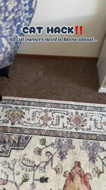You need to try these washable pet pads if you haven’t yet… these are awesome washable pet pads for cats 👏 #washablepetmat #catsoftiktok #washablepeepad #catmat #tiktokshopjumpstartsale 