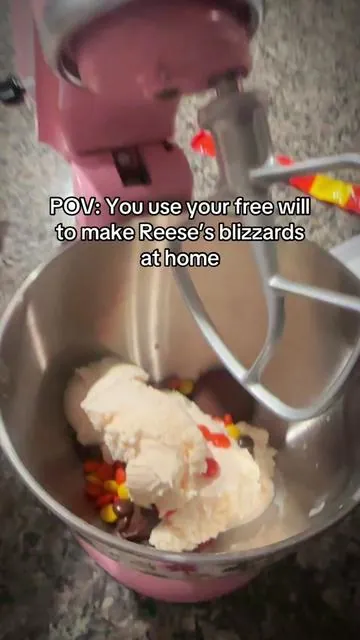 I think I’m using my free will correctly tbh 🙌🏻🍦✨