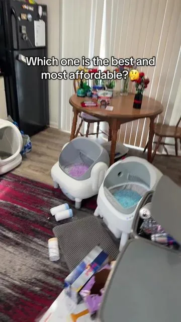 This is something every cat owner needs! #selfcleaninglitterbox #litterbox #litterboxhack #catsoftiktok #catlover 