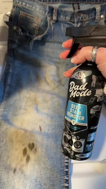 Dadmode Deep Stain Remover and the refills for the metal spray bottle!! This 7 enzyme deep cleaner is amazing!! #dadmode #deepstainremoval #enzymestainremover #tiktokshopcreatorpicks #tiktokshopjumpstartsale 
