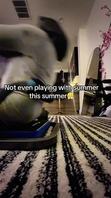 7594649179146751246