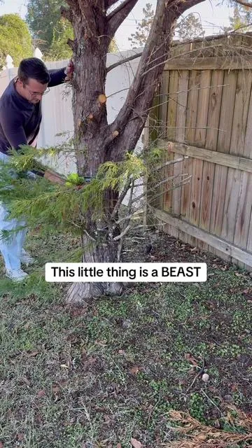 This mini 6” handheld chainsaw is my most used yard tool. #chainsaw #saw #yardwork #tiktokshopcreatorpicks 