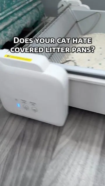 This is perfect for those cats that don't like the covered automatic litter boxes!  #automaticlitterbox #opentoplitterbox #selfcleaninglitterbox #catlitterbox #tiktokshopcreatorpicks 