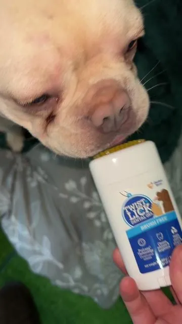 Gel dental para perros para el cuidado bucal tiene 20% de descuento del envío gratis te interesa te lo voy a dejar aquí en el carrito 🛒 naranja que aparece arriba de mi nombre #dog #pet #dental #brush #fyp 