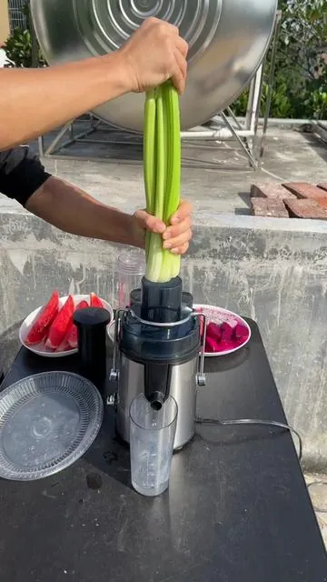 Additive-free green beverage manufacturing machine#juicer #TikTokShop #fyp 