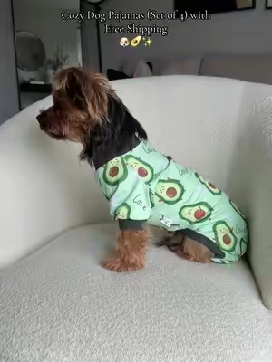 Cozy Dog Pajamas (Set of 4) with Free Shipping. 🐶  #dogpajamas #pajamas #dogclothes #doglover #tiktokshopfinds 