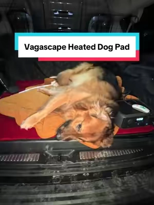 Coolest life hack for dog owners!! #vagascape #heatedpad #dogproducts #dogownerproblems #tiktokshopjumpstartsale 