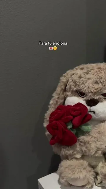 So cute 🥹😭🌹 #fyp #zeiotoys #plushie #valentinesday 