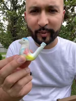This bird whistle is so funny and kids love it #birdwhistle #toys #whistletoy 