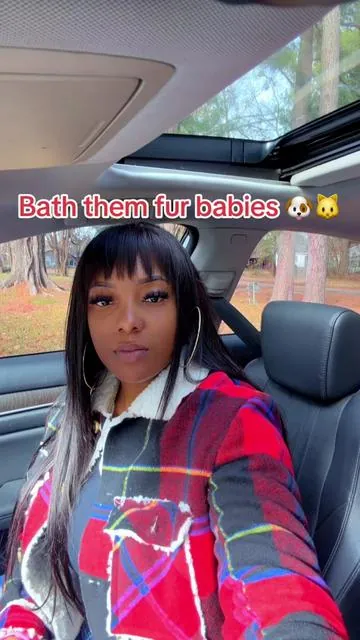 #dog #dogsoftiktok #dogs #yorkie #yorkiesoftiktok 