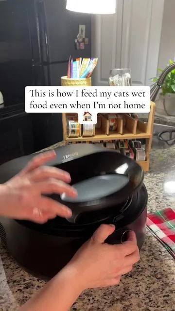If you’ve ever wondered how to feed your cat wet food when you’re not home, this is the safest setup I’ve found. This refrigerated cat feeder keeps wet food stored cold and serves meals automatically at scheduled times, so your cat eats on routine even if you’re away overnight or traveling. I control everything from my phone, which makes it ideal if: • you work long hours • you travel or take overnight trips • your cat sitter cancels • you don’t want wet food sitting out #tiktokshopcreatorpicks #tiktokshopjumpstartsale #fanfavoritedeals  #giftsforcats  #petlibro  This feeder is designed specifically for safe wet food storage, not just dry kibble, and it gives real peace of mind when you can’t be home for every meal.