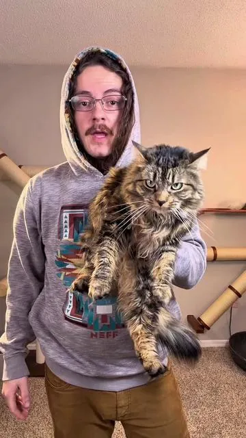 This is the best way to deal with your cat’s hairballs #cat #catsoftiktok #catlovers #cattips #cattreats 