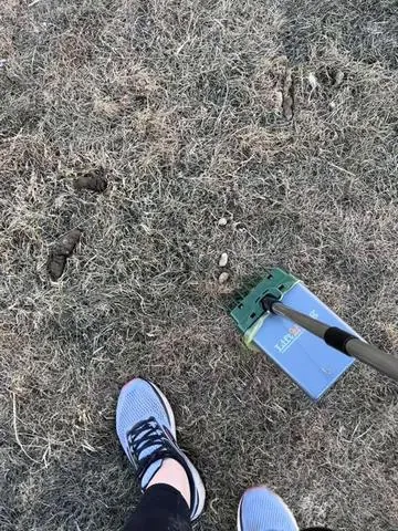 This thing is handy with owning a pack of dogs.  Yes we also have a traditional scoop, but for a smaller area of someone with a normal ammount of dogs this is perfect Anima husbandry is part of my job and that includes sanitation. We do a lot of poop scooping 🤣