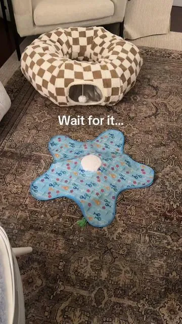 Your cats will love this interactive cat toy! It helps them stay engaged and entertained for hours and intrigues them with the bird noises 🐥😸  #cats #cattoys #cat #catsoftiktok #catlover 