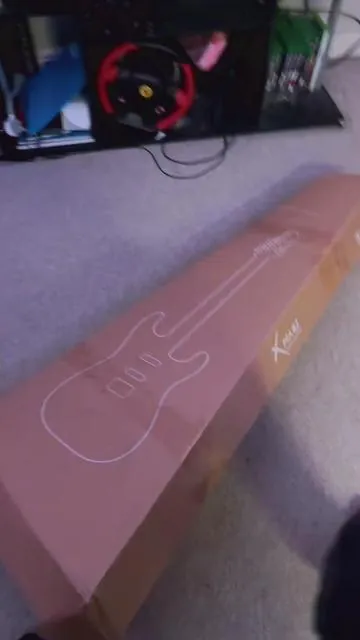 Would You Buy This Guitar? | #guitar #enya #enyamusic #xmari #electricguitar  