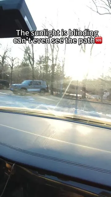 This is my favorite way to block out the sun!#cars #tips #car #protect 