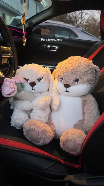 #peluche #enojado #parejas #novios #fyp 