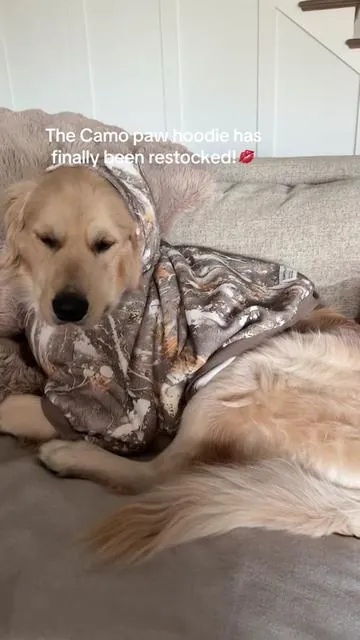 Ahh RUN!! Last time camo was restocked was Sept!! It’s sooo soft and cozy if you need help with sizing drop breed/ mix and weight below!!!!! Atlas is 70lbs wearing a 5x! #comfrt 