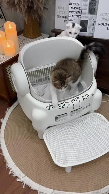 ECORUI—your home’s stylish litter fix! Compact, auto-clean, blends with every decor. #ECORUI #AutomaticLitterBox #DecorFriendly #CompactPetGear