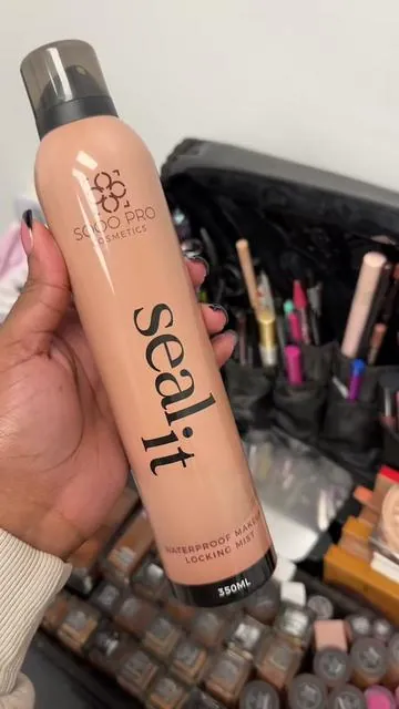 Not a game!!!! Secure your makeup for a good time…shop SEAL IT!! 