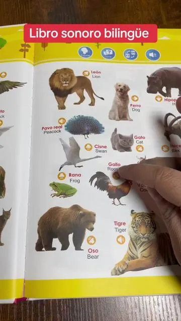 #spanishenglish#words#sound#miprimerlibrobilingue #paraniños