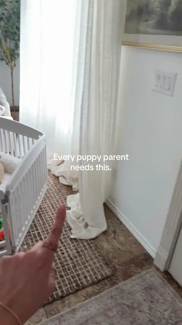 The best space for playtime, the plastic playpen is perfect for puppies at home or outside. It’s durable and sturdy, lockable door for security, nonslip bottom, portable for indoor and outdoor use!   #petessentials #puppyplaypen #dogtok #petparent #puppy 