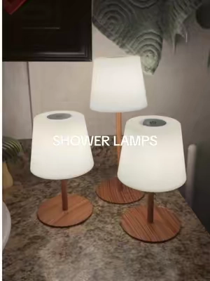 these are fr the best things i have ever gotten myself #showerlamp #waterproof #shower #bathroom #ezvalo 