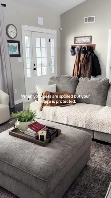 Pet friendly without ruining your aesthetic #couchcovers #dogcouchcover #dogmom #sofacover #petsofacover