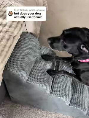 Replying to @Stacie Lynn she absolutely loves to use them! #petstairs #bedstairs #dogstairs 