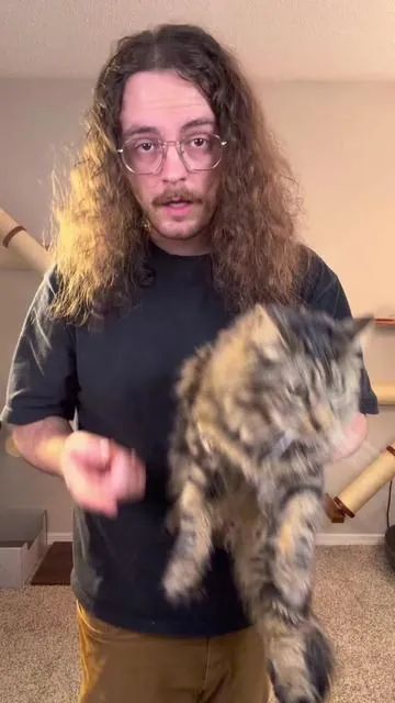 These treats are the best way to prevent hairballs for your cat #catsoftiktok #catlovers #cattips #cattreats #cat 