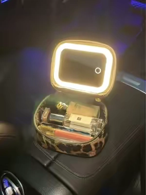 #makeupbag #whatsinmybag #led #leopard #minibag 