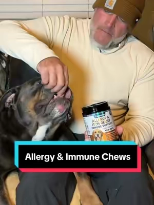 Carmelie Allergy & Immune Chews for Dogs – Itch Relief, Skin & Coat & Seasonal Allergy Support #dogsupplements, #healthydog, #bulldogs, #doglove, #tiktokshopcreatorpicks 