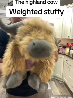 The viral highland cow weighted stuffed animal is back ! A weighted stuffed friend for comforting and relaxing #highlandcow #weightedstuffedanimal #adhd #toddlersoftiktok #asd 